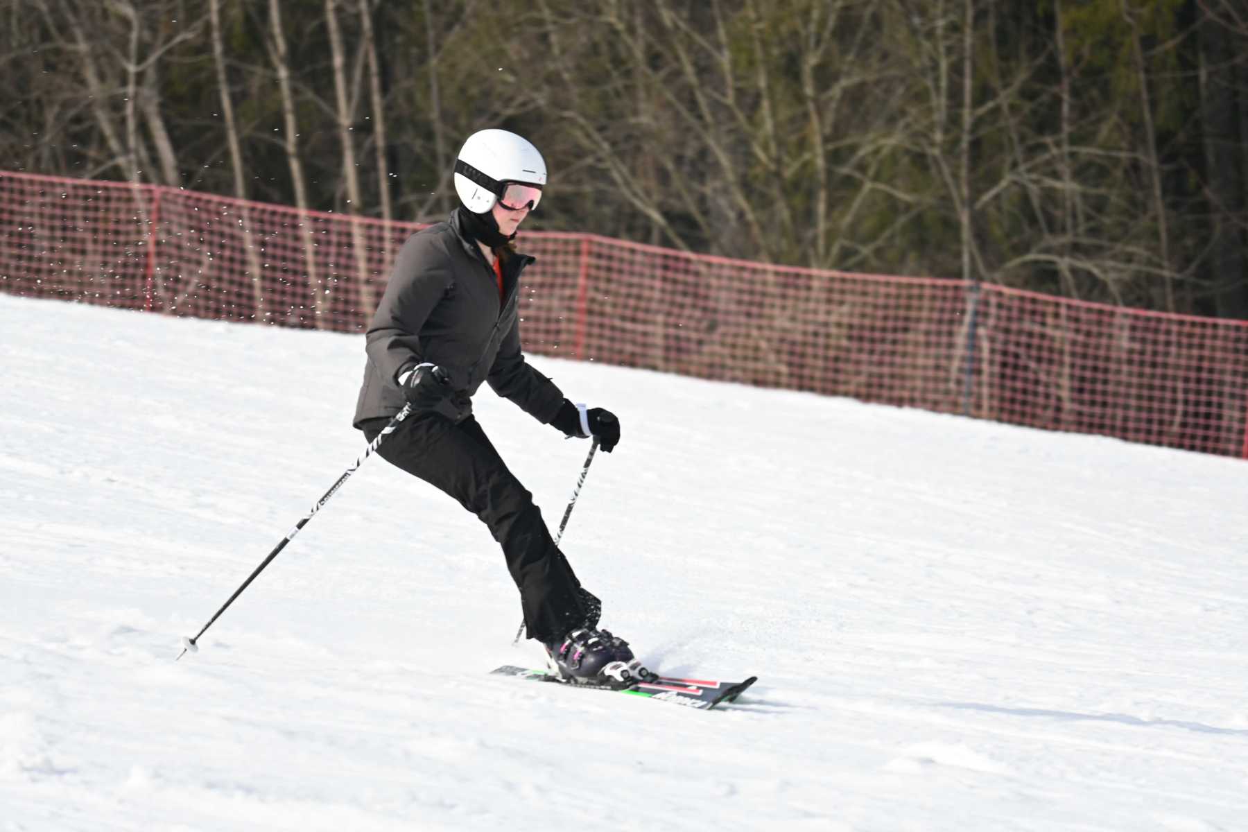DSC_2390