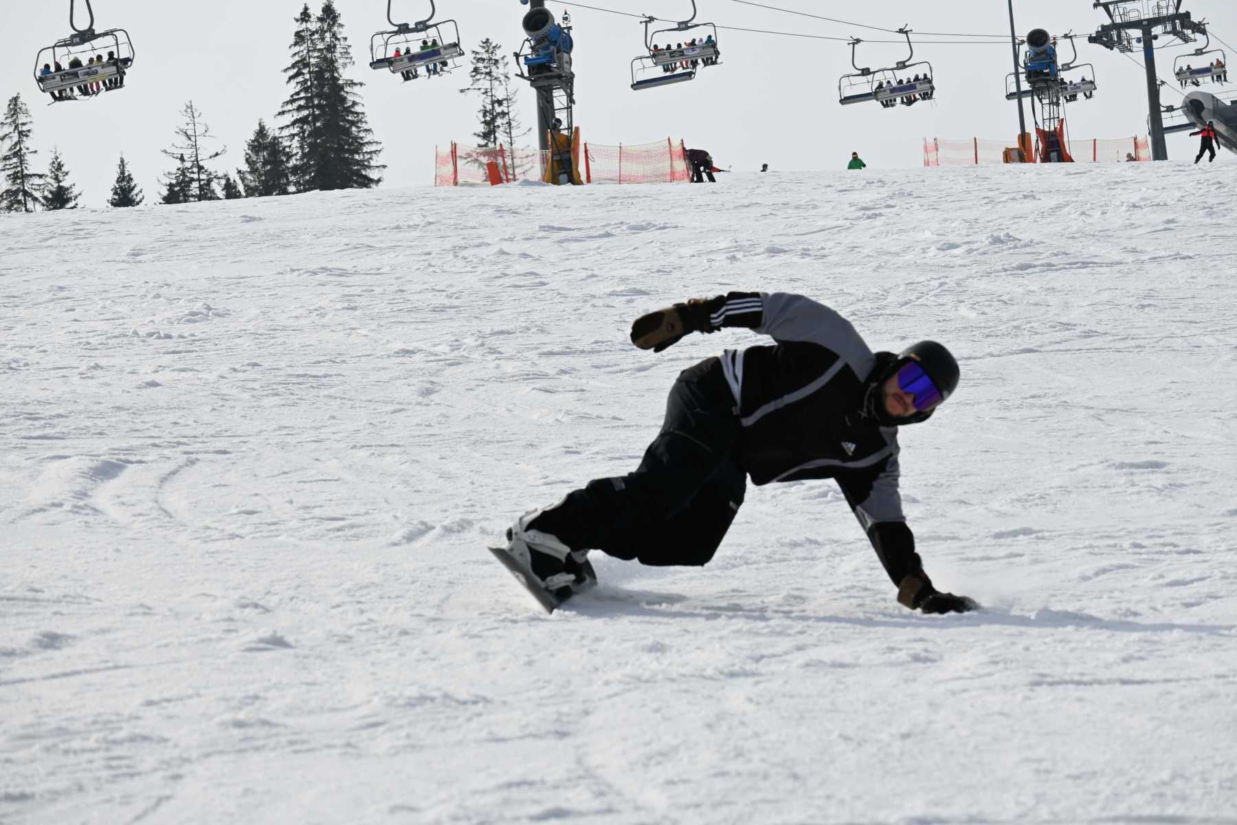DSC_2501