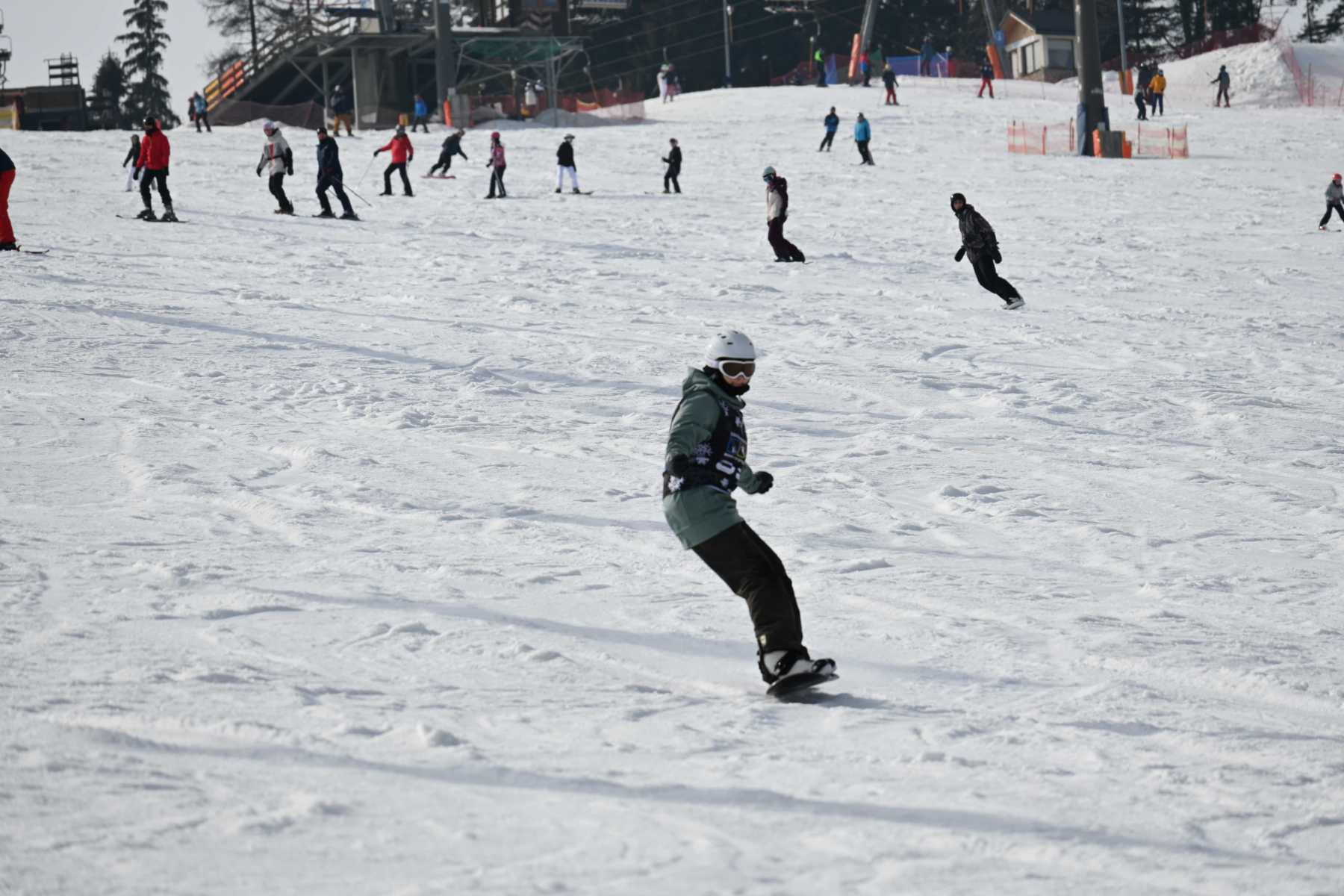 DSC_2511