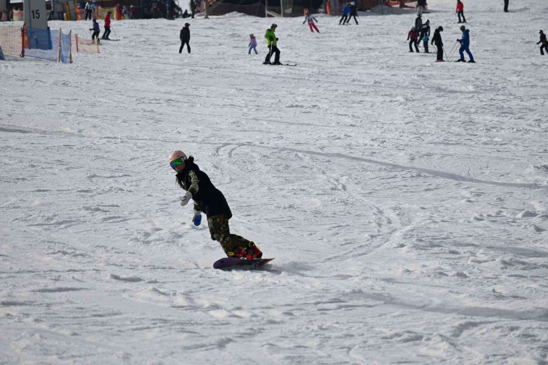 DSC_2647