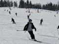 DSC_2575