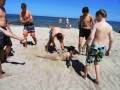 obóz-windsurfingowy-Dziwnówek (4)