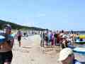 oboz_windsurfingowy_176