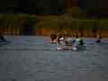 oboz_windsurfingowy_283